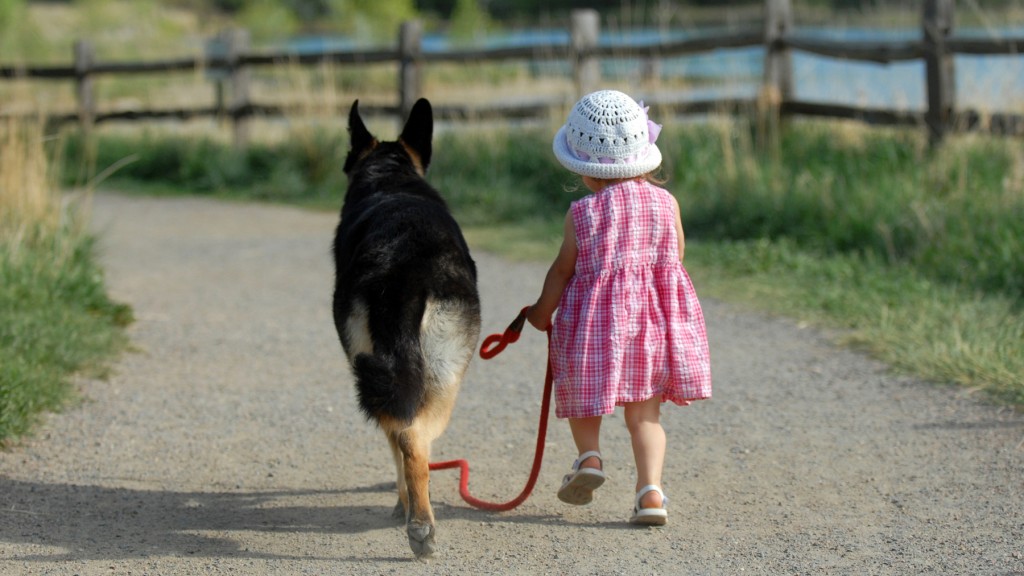 Little girl walking a big dog